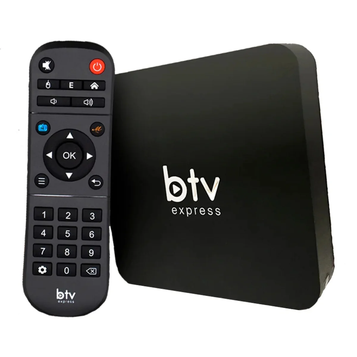 BTV E13